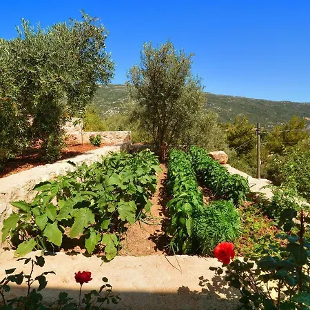 Villa Private Cennet *