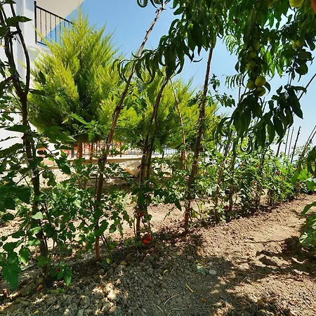 Villa Private Cennet Gombe